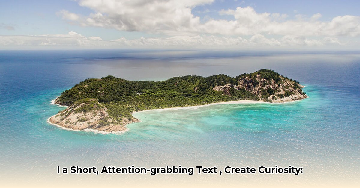 island-boy-net-worth